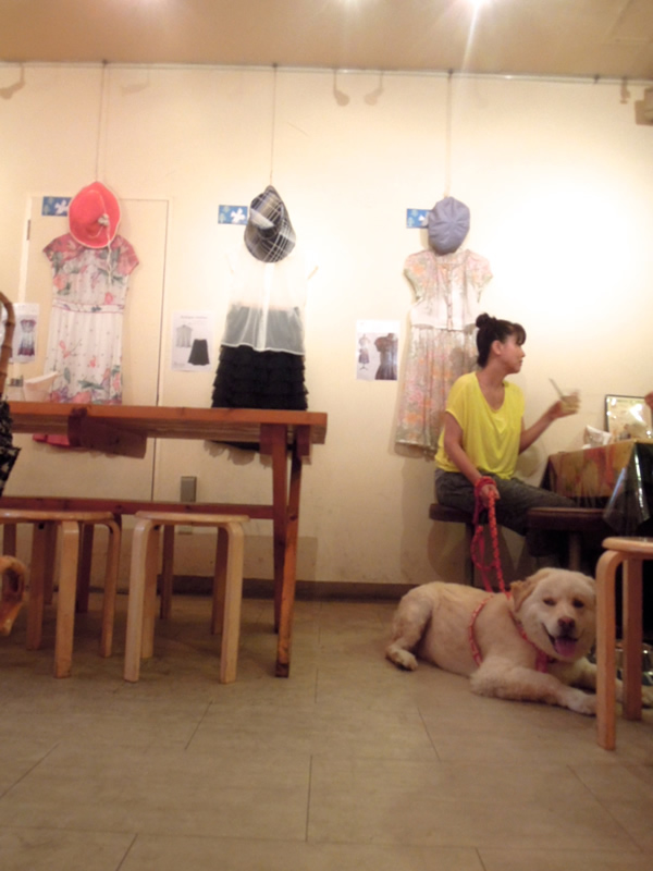 dogカフェの犬