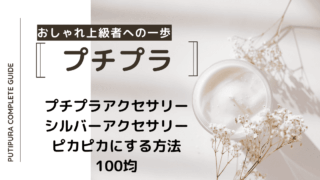アイキャッチ画像_シルバーアクセピカピカ100均