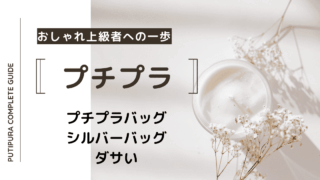 アイキャッチ画像_シルバーバッグダサい