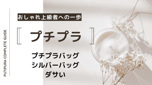 アイキャッチ画像_シルバーバッグダサい
