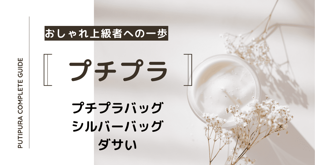 アイキャッチ画像_シルバーバッグダサい