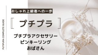 アイキャッチ画像ーピンキーリングおばさん